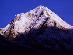 203 Dhaulagiri Sunrise From Shepherds Kharka The sun slowly came down Dhaulagiri and Tukuche Peak at sunrise from Shepherd�s Kharka (3760m) on the way to Annapurna North Base Camp, changing quickly from yellow to bright white.
